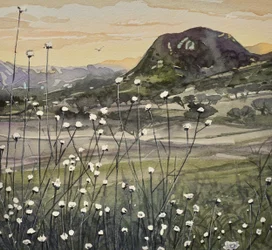 Goldener Himmel Wildblumen
