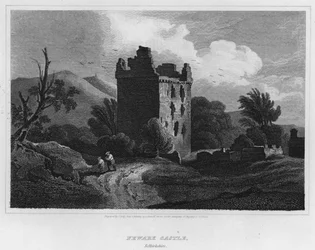 Newark Castle, Selkirkshire