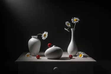 Gänseblümchen, Vasen und Kirschen