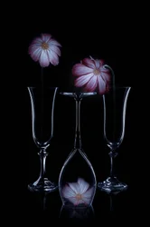 Zarte Blüten und Glasflöten