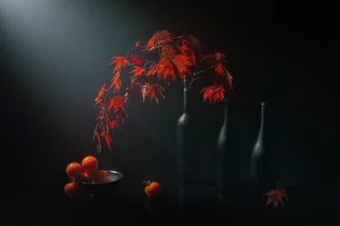 Stimmungsvolles Herbststillleben
