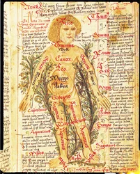 Einfluss der Sterne auf Krankheiten des menschlichen Körpers, aus Tractatus de Pestilencia