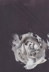 Dunkle Abstrakte Rose