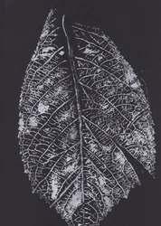 Monochromes Blattmuster