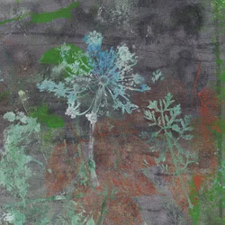 Gedeckte botanische Schichten