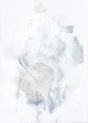 Subtile botanische Impression