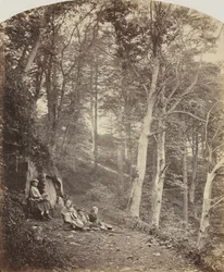 Ein Pfad durch einen Wald, ca. 1860