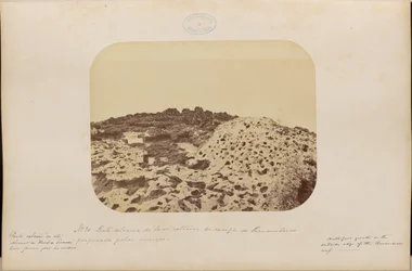 Kalkhaltiger Teil der Außenseite des Riffs von Pernambuco, durchlöchert von Löchern