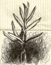 Pflanze, 2014