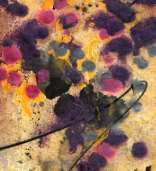 Transformation, 2000