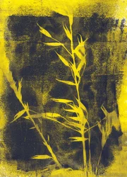 Gelbe Blätter, 2024