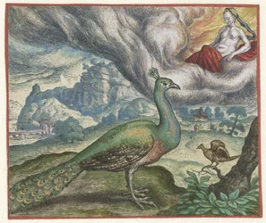 Fabel vom Pfau und der Nachtigall