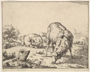 Schafe, aus einem Satz von 16 Platten, 1664