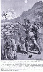 Wie Private Vaughan das DCM in Lone Pine Dardanellen August 1915 gewann