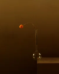 Minimalistische Orange Blume
