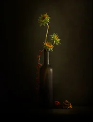 Stimmungsvolle Sonnenblume Stillleben