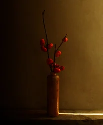 Rote Beeren Stillleben