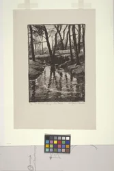 Der Bach im Frühling, Pine Manor