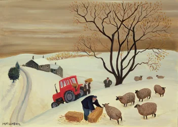 Heu mit dem Traktor zu den Schafen bringen