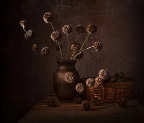 Erdige Trockenblumen