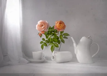 Morgenrosentee