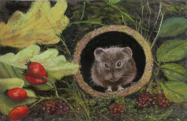Feldmaus im Abflussrohr, 2020