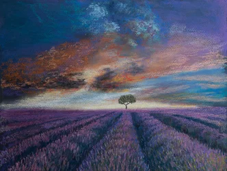 Lavendelfelder der Normandie