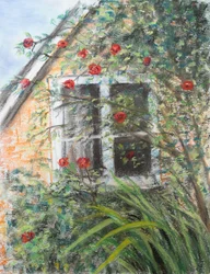 Rosen über dem Fenster