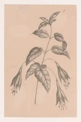 Zweig mit Blumen