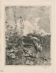 Der Gartenliebhaber