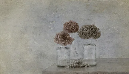 Rustikales getrocknetes Blumenstillleben