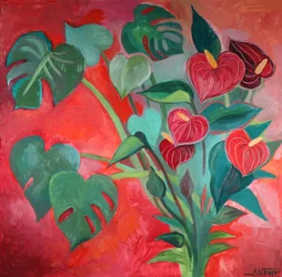 Tropische Monstera Anthurium Blüten