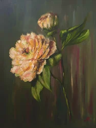 Elegante Pfingstrose