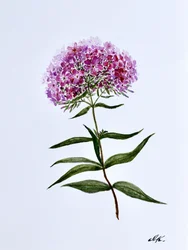 Leuchtende botanische Blüte