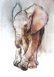Baby-Elefant 2, Loisaba, 2018