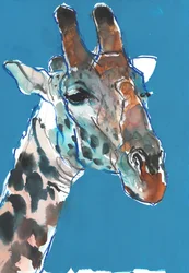 Bulle Masai Giraffe, 2018
