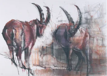 Nicht nach unten schauen