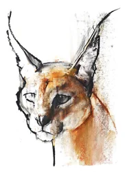 Feline (Arabischer Karakal), 2009