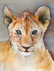 Wilder Junges, Masai Mara, 2019