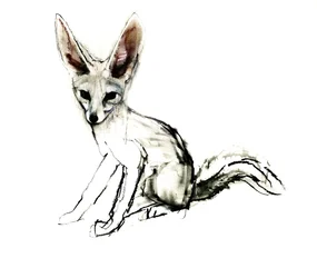 Foxy (Sandfuchs), 2009