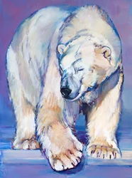Großer Weißer Bär, 2016