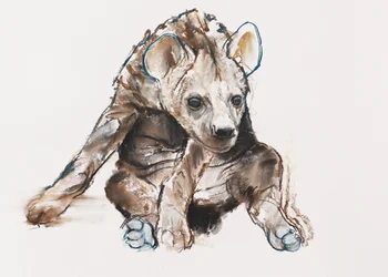 Hyänenjunges (Kopf unten), 2019