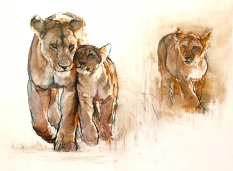 Eifersüchtiges Junges, 2019