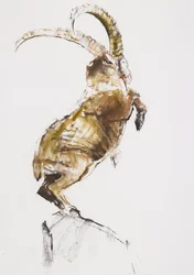 König des Berges, 2005