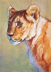 Aussichtspunkt, 2019