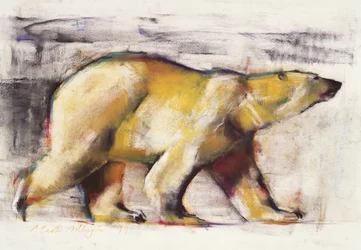 Eisbär
