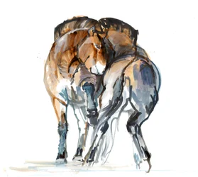 Macht-Tanz (Przewalski), 2013