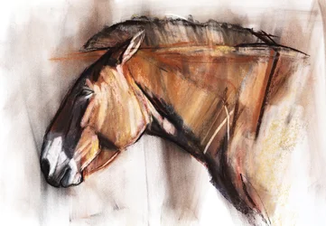 Ruhendes Pferd, 2013