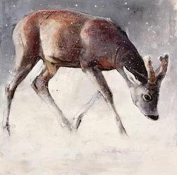 Rehbock, Winter, 2000