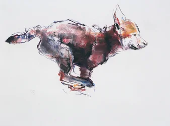 Laufender Wolfswelpe